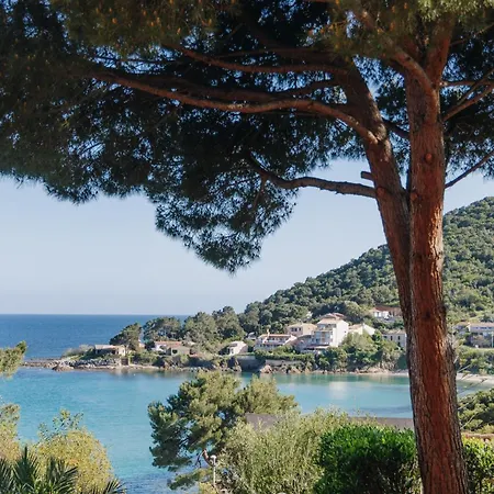 Le Telemaque 3 Pieces Mezzanine By Interhome Apartment *