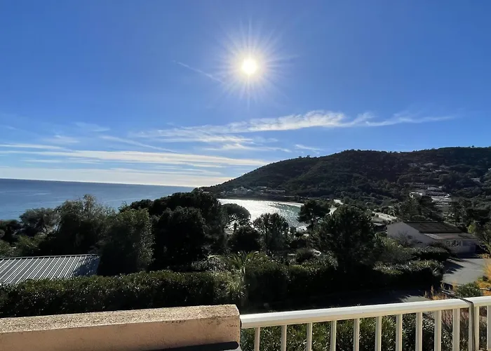 Le Telemaque 3 Pieces Mezzanine By Interhome 公寓 孔卡