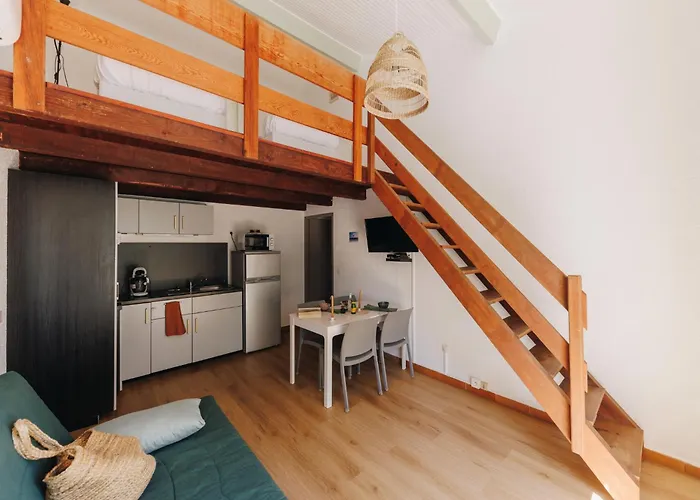 公寓 Le Telemaque 3 Pieces Mezzanine By Interhome 孔卡