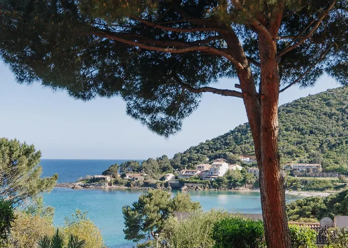 Le Telemaque 3 Pieces Mezzanine By Interhome 公寓 *